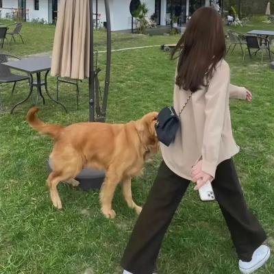 霸王花