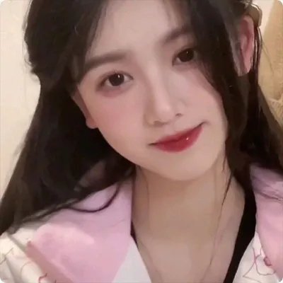 蝙蝠侠:侠影之谜